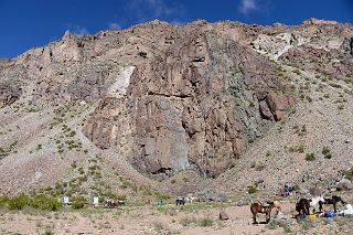 14 Mules At Pampa de Lenas 2862m On The Trek To Aconcagua Plaza Argentina Base Camp.jpg
